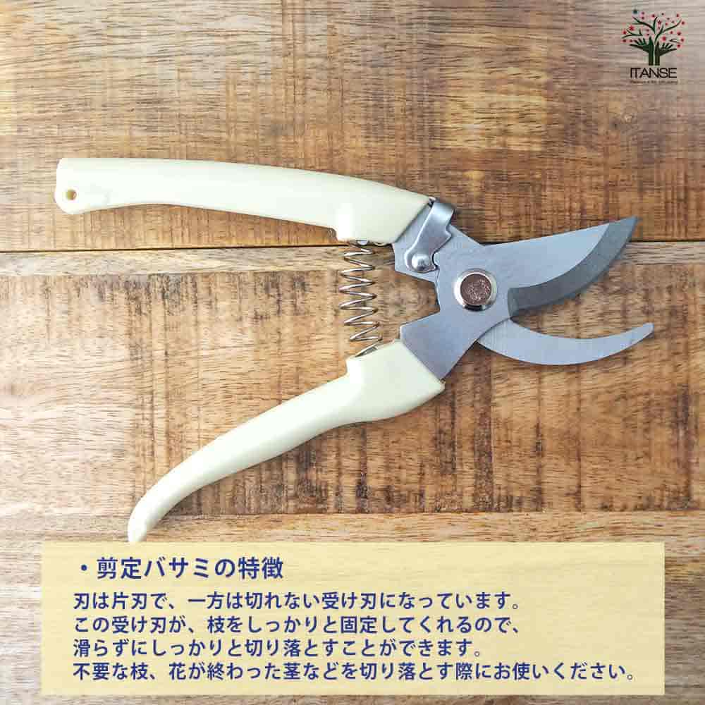 らくらくバネ付 剪定＆芽切りバサミセット 【園芸用はさみ 便利・園芸