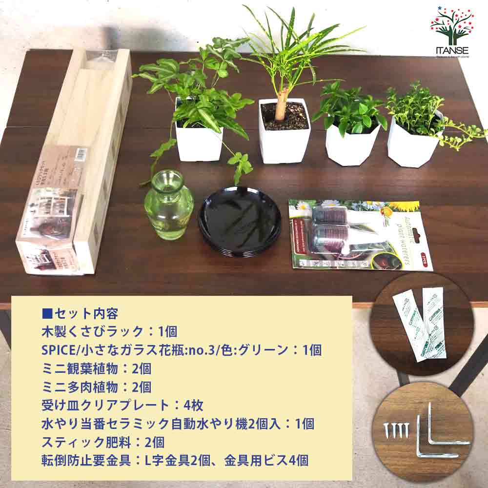 ミニ観葉+多肉植物ディスプレイ&生育棚 自動水やり器付き・木製くさび