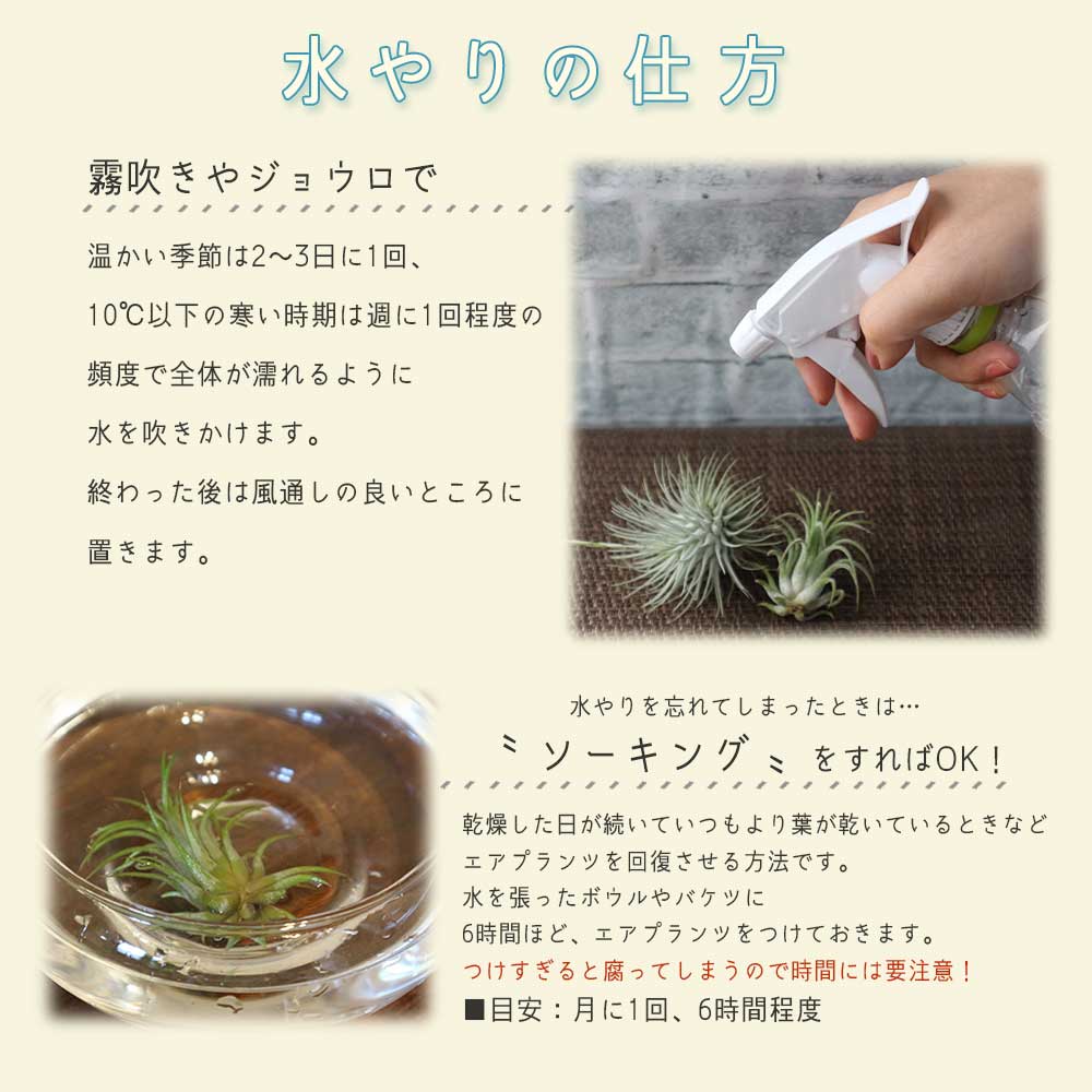 Itanse良品ｾﾚｸﾄ通販