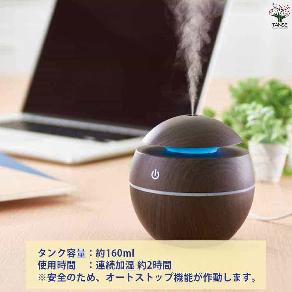 アロマ対応 イルミネーション ボール型加湿器 【加湿器 】｜ 【植物の