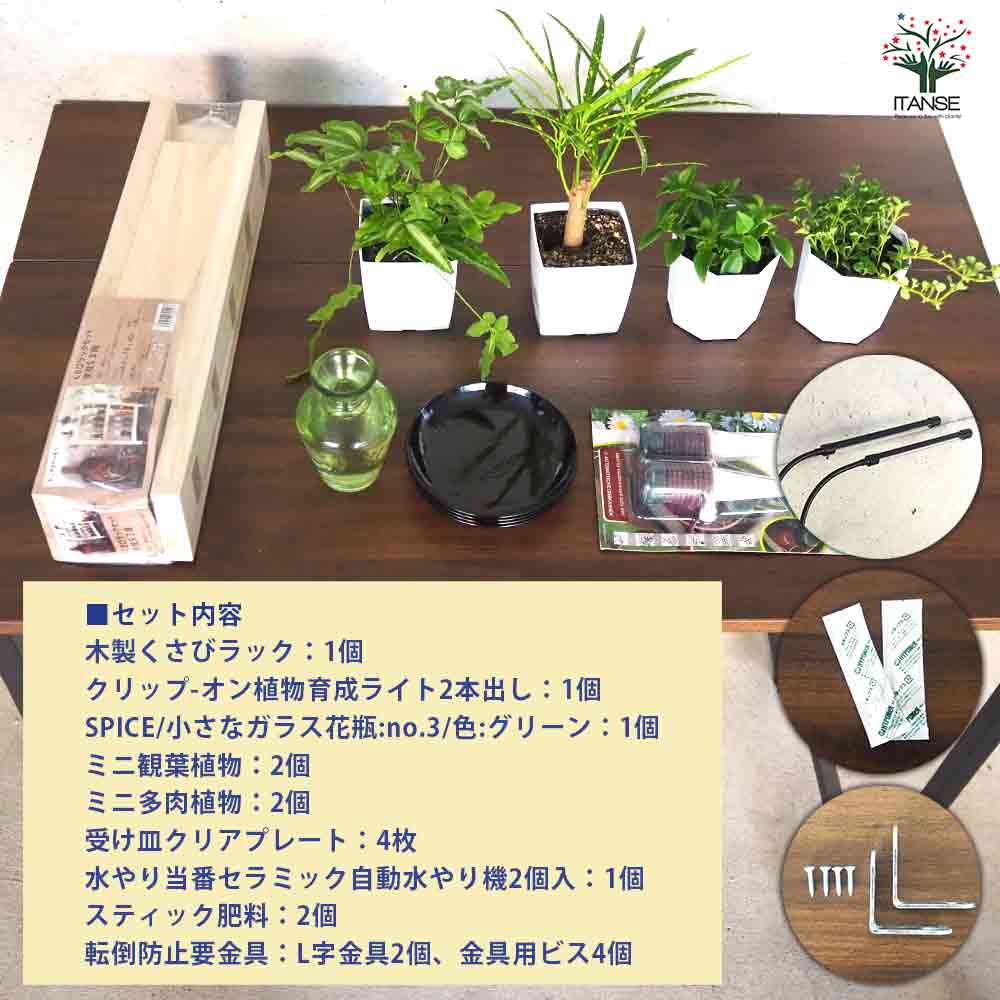 送料込○グラ&ツィエ2脚兄弟チェア　観葉植物置き等に 楽天市場】観葉植物（イス・チェア｜インテリア・寝具・収納）の通販