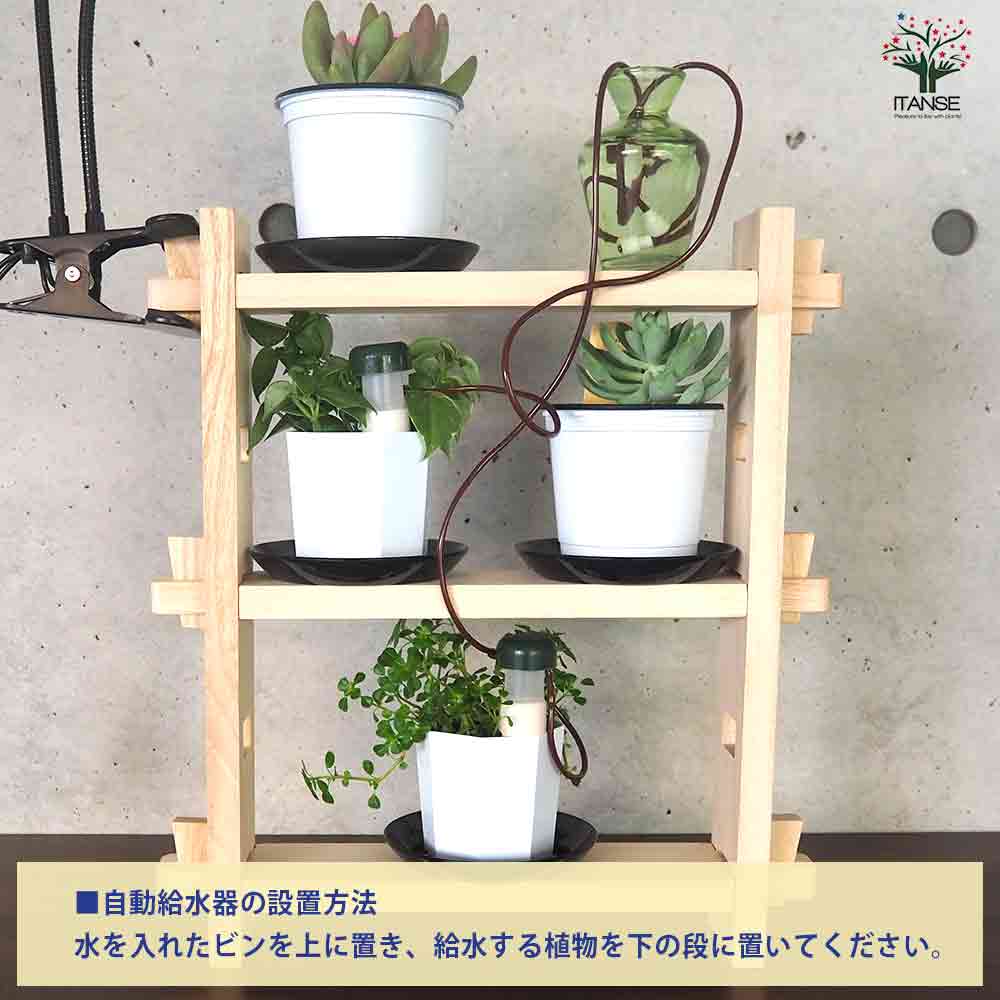 ミニ観葉+多肉植物ディスプレイ&生育棚 自動水やり器付き・木製くさび