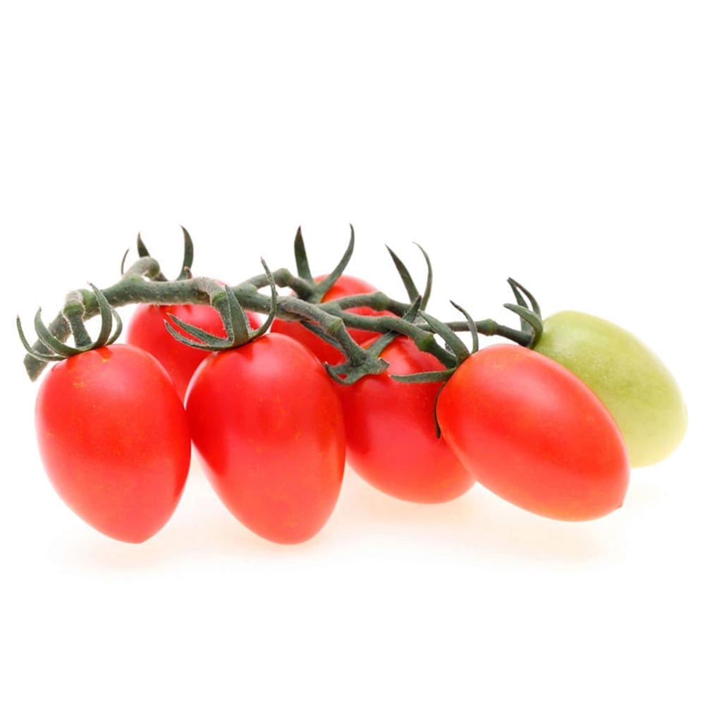 夏トマト2個～【野菜苗 9cmポット自根苗】