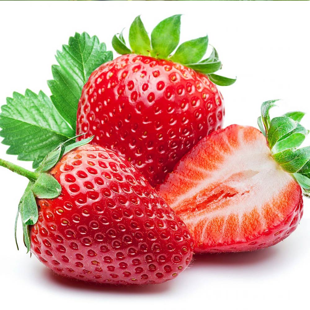 すずなり大実いちご【野菜苗 18cmポット大苗／1個】｜ 【植物の