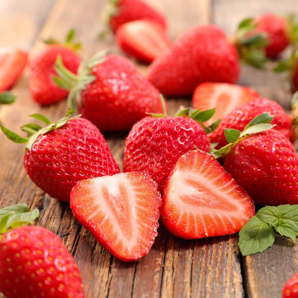 すずなり大実いちご【野菜苗 18cmポット大苗／1個】