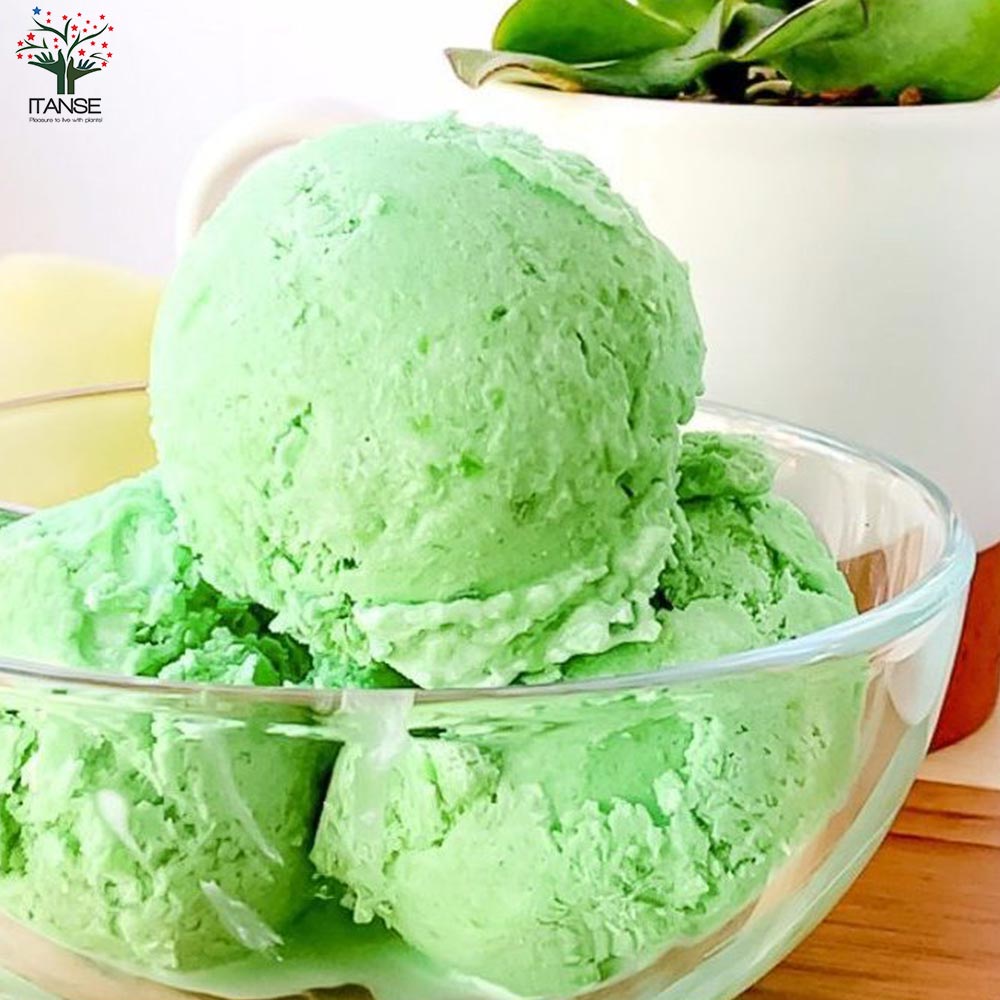 メロンの苗 プランターでも地這でもOK！らくらく極甘緑肉ネットメロン2個～【野菜の苗 10.5cmポット 自根苗】