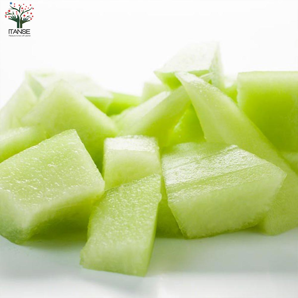 メロンの苗 プランターでも地這でもOK！らくらく極甘緑肉ネットメロン2個～【野菜の苗 10.5cmポット 自根苗】