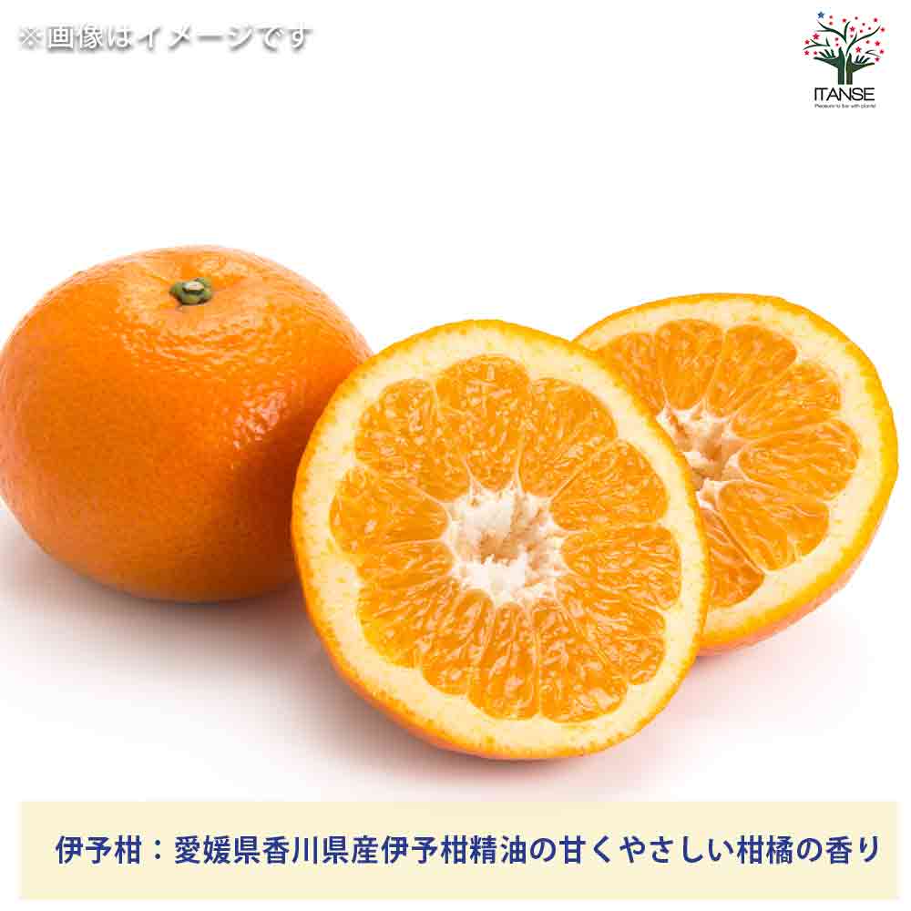 ミニハンドクリーム20g ナチュラル3種セット 【香り系 ハンドクリーム】