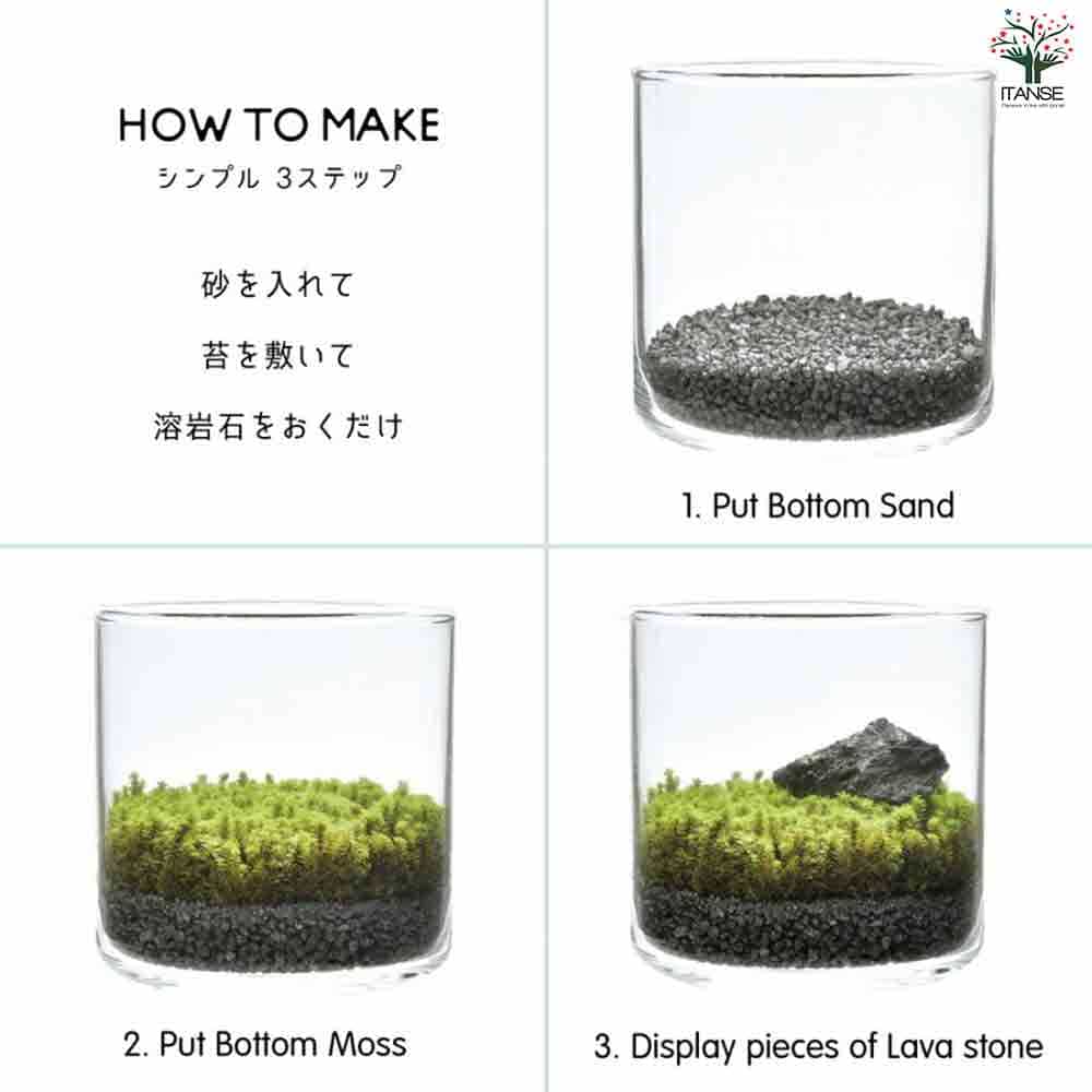 栽培セット グラストモス S