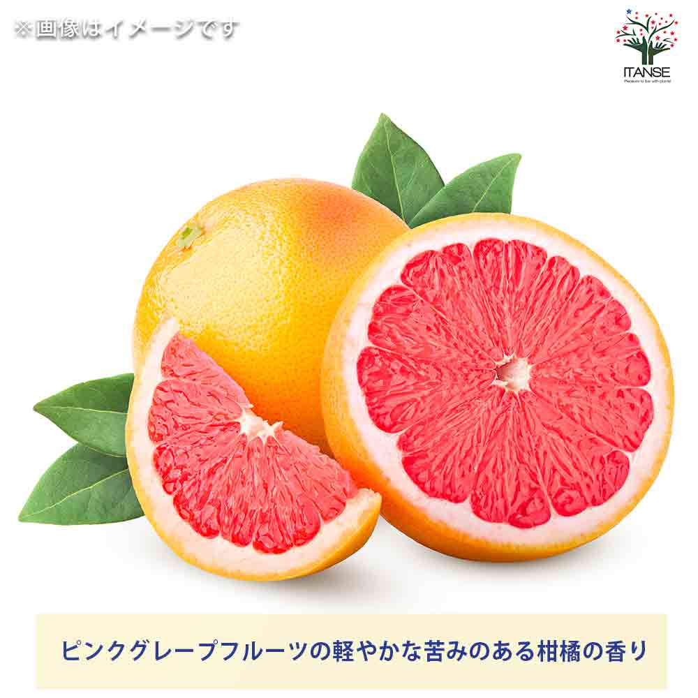 ハンドクリーム75g PINK GRAPEFRUIT 【香り系 ハンドクリーム】