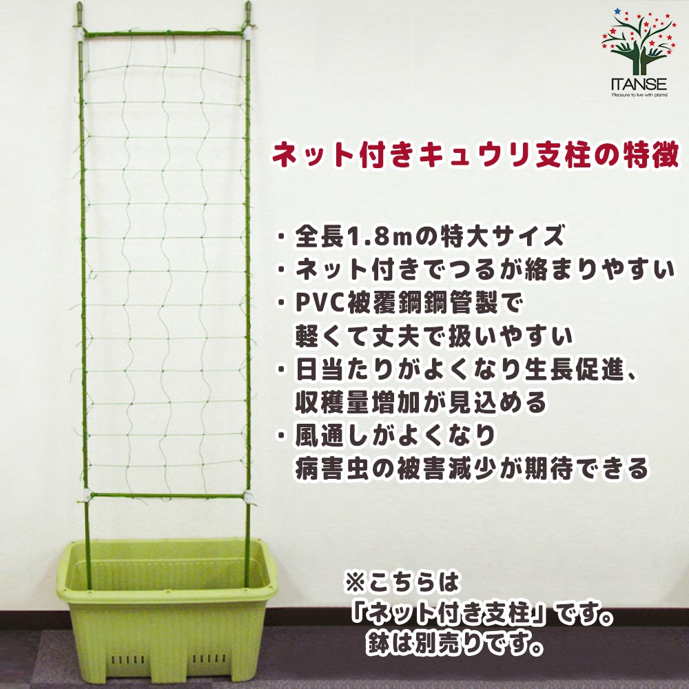 キュウリ支柱セット (ネット付き)【資材／1個売り】
