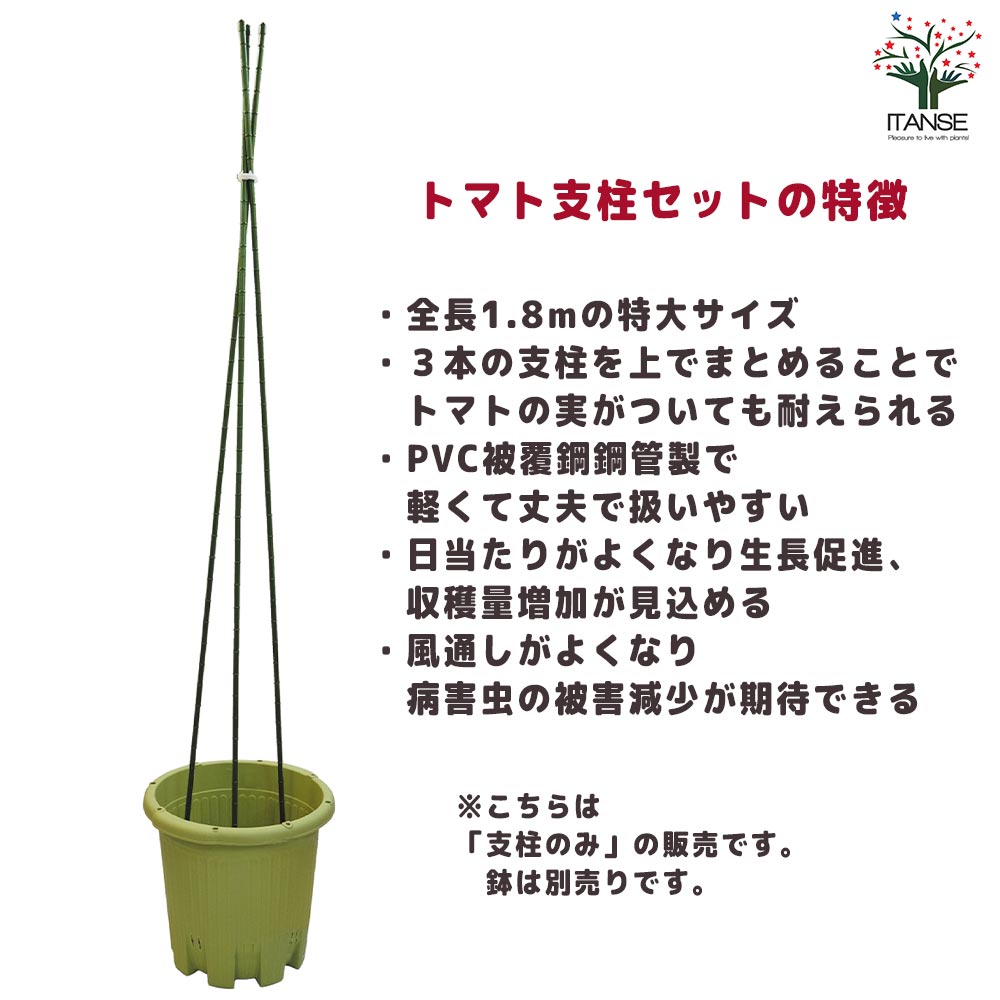 トマト支柱セット【資材／1個売り】