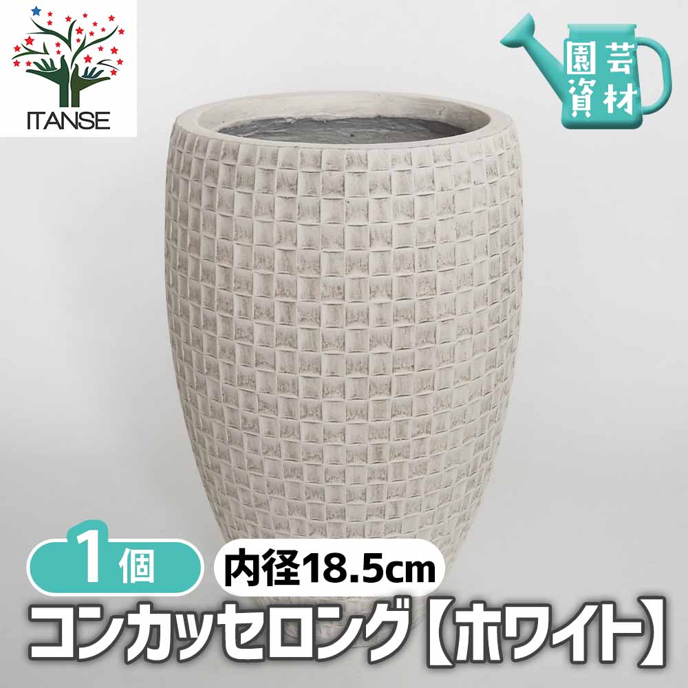 鉢カバー コンカッセロング 【鉢カバー ホワイト／1個売り】｜ 【植物