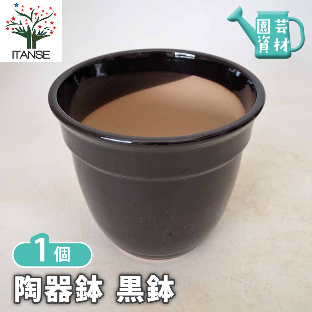 陶器鉢 迎春用黒鉢 【 陶器鉢 】｜ 【植物のITANSE】全品送料