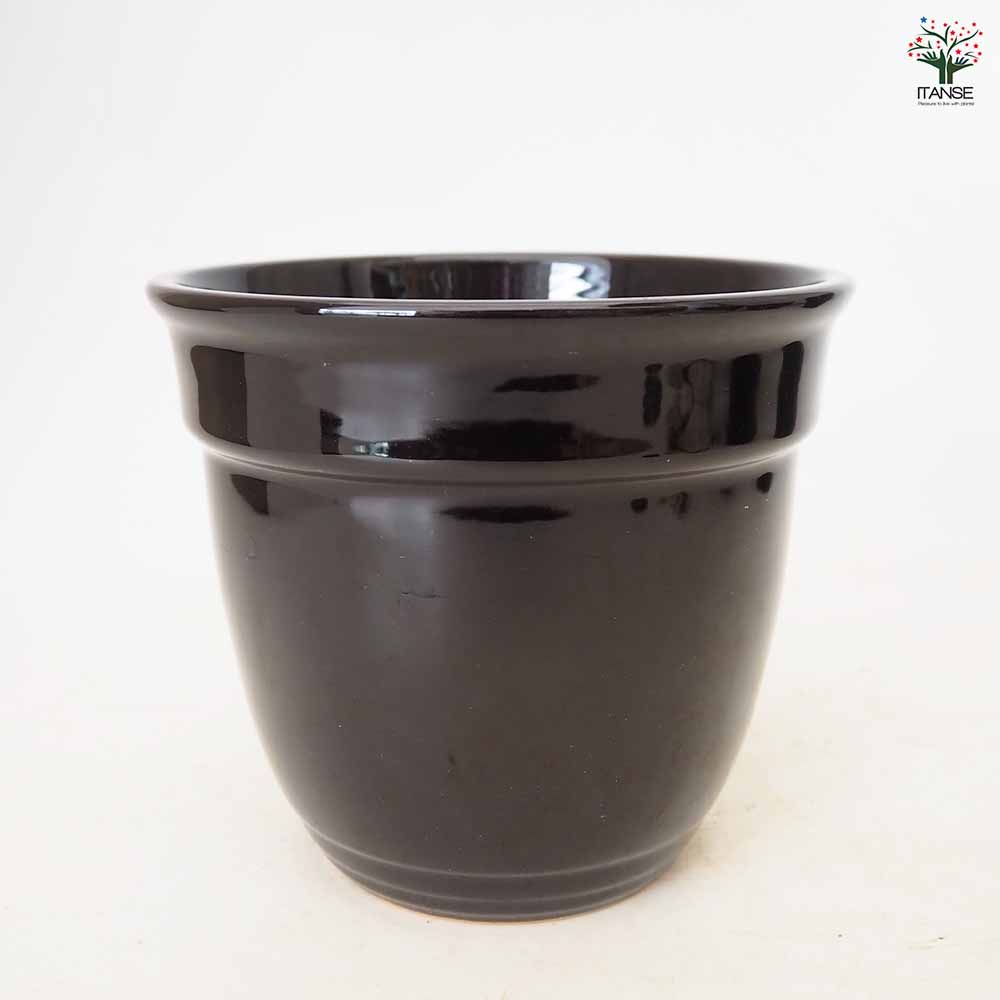 陶器鉢 迎春用黒鉢 【 陶器鉢 】｜ 【植物のITANSE】全品送料