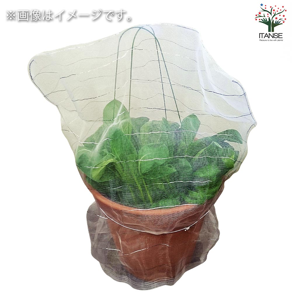 防虫ネット　セット　丸鉢用 防虫ネットセット 丸鉢用【資材／1個売り】｜ 【植物のITANSE
