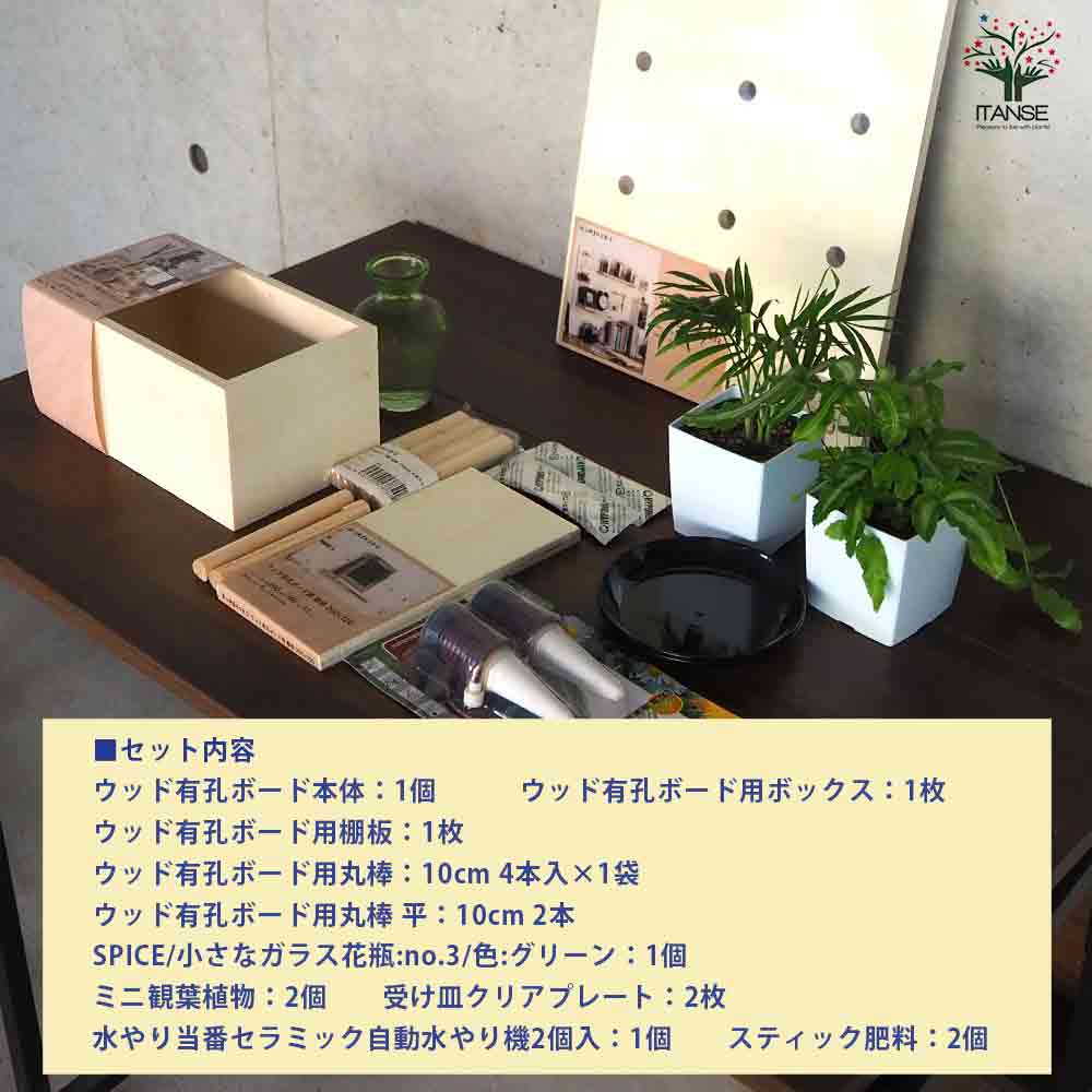 ミニ観葉植物壁面ディスプレイ&ボックス 工具ほぼいらずWAセット【資材