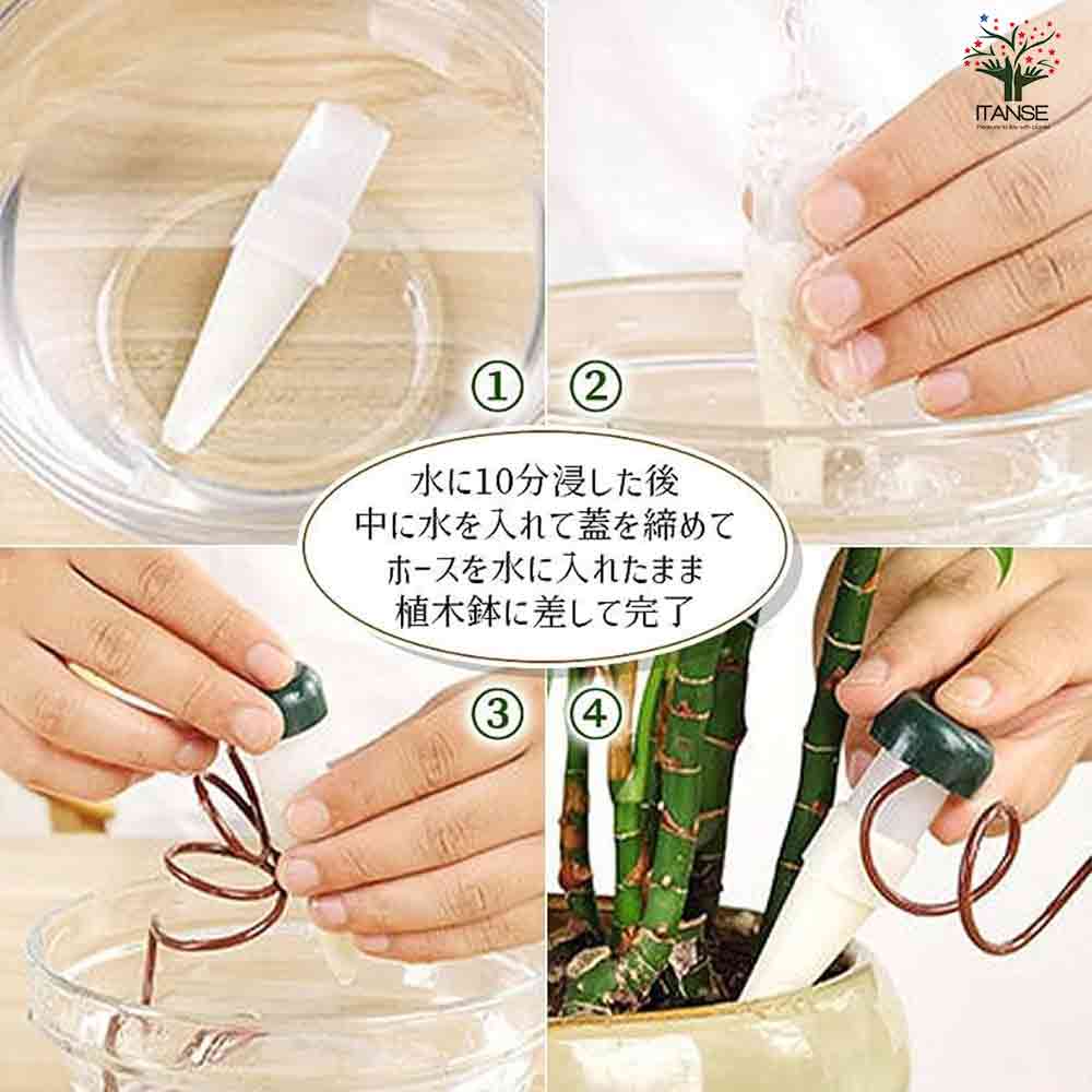 ミニ観葉植物壁面ディスプレイ&ボックス 工具ほぼいらずWAセット【資材