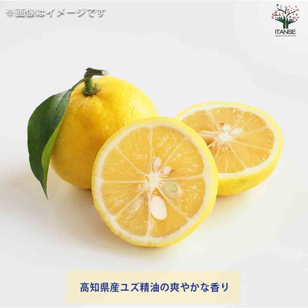 ハンドクリーム75g YUZU(ゆず) 【香り系 ハンドクリーム】