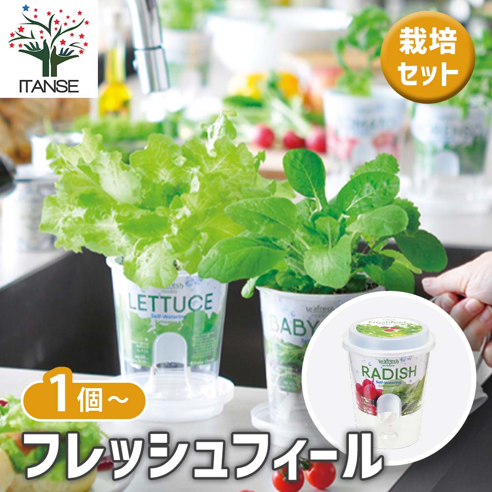 栽培セット フレッシュフィール
