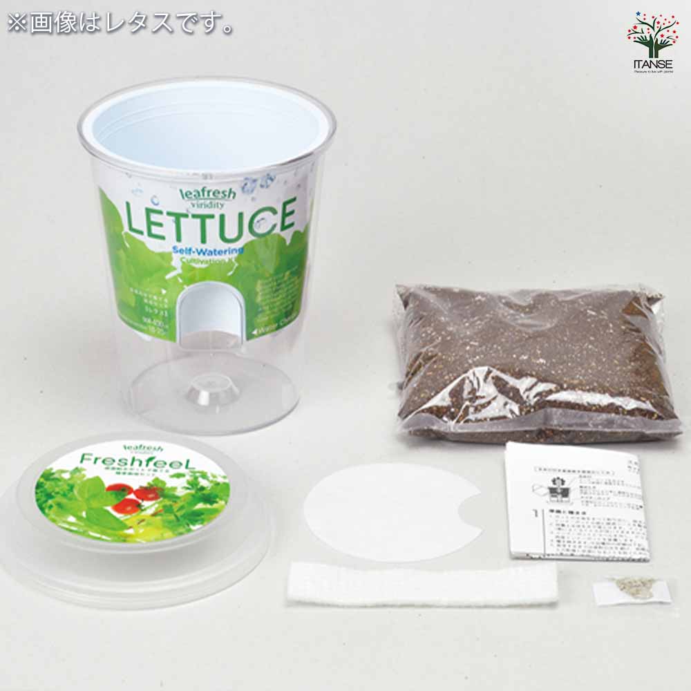 栽培セット フレッシュフィール