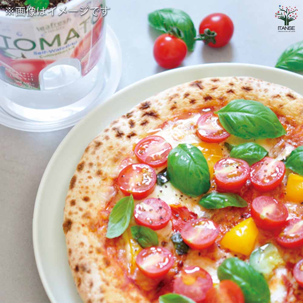 栽培セット フレッシュフィール