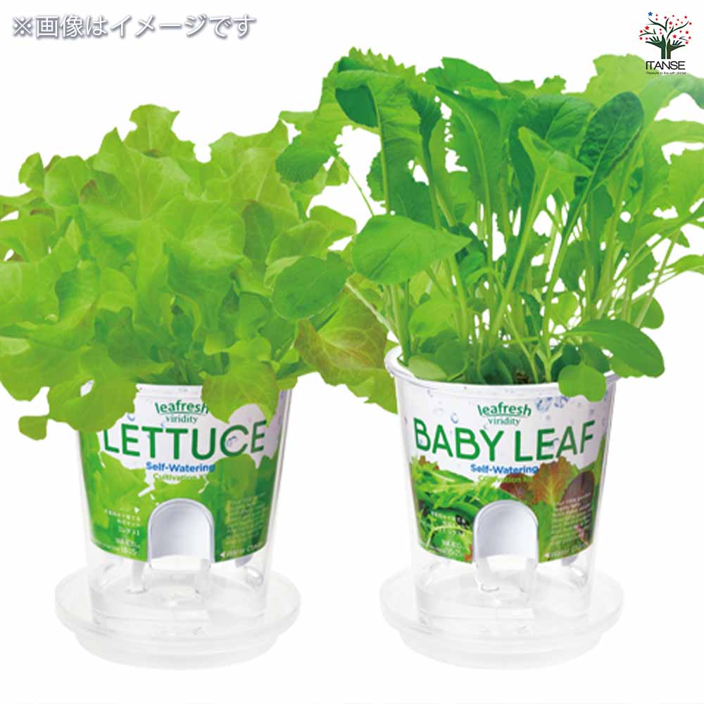 栽培セット フレッシュフィール