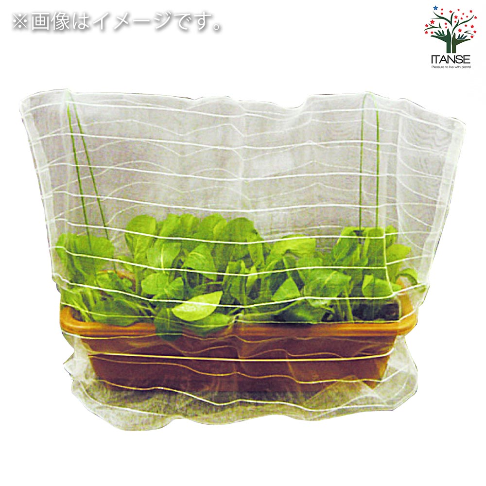 防虫ネットセット プランター用【資材／1個売り】