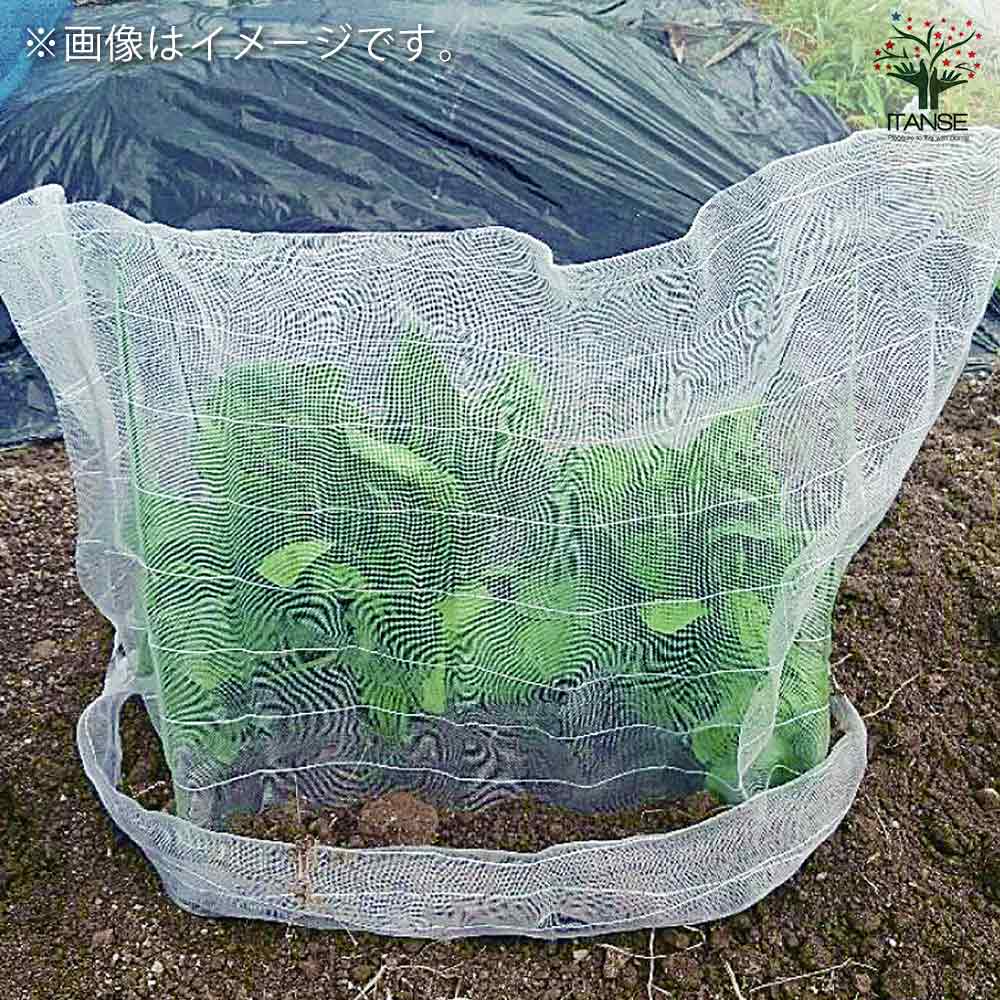防虫ネットセット プランター用【資材／1個売り】