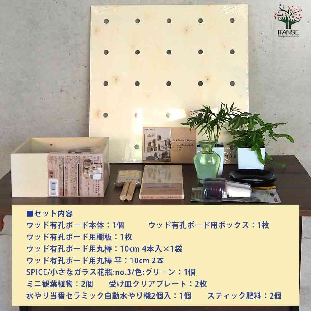 ミニ観葉植物壁面ディスプレイ&ボックス 工具ほぼいらずWBセット【資材 ／1個売り】
