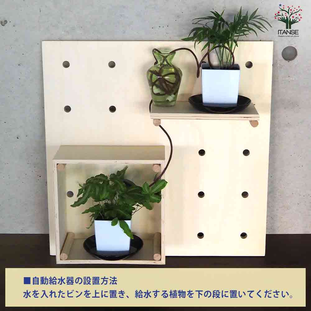ミニ観葉植物壁面ディスプレイ&ボックス 工具ほぼいらずWBセット【資材 ／1個売り】