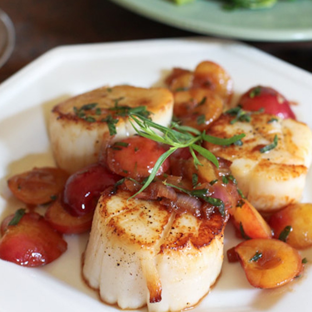 フレンチタラゴン9cmポット苗 【ハーブ苗9cmポット／1個～】