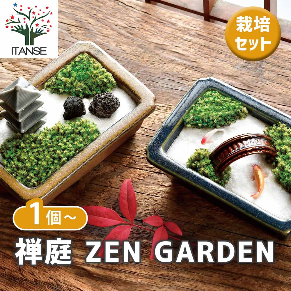 栽培セット 禅庭 ZEN GARDEN｜ 【植物のITANSE】全品送料無料