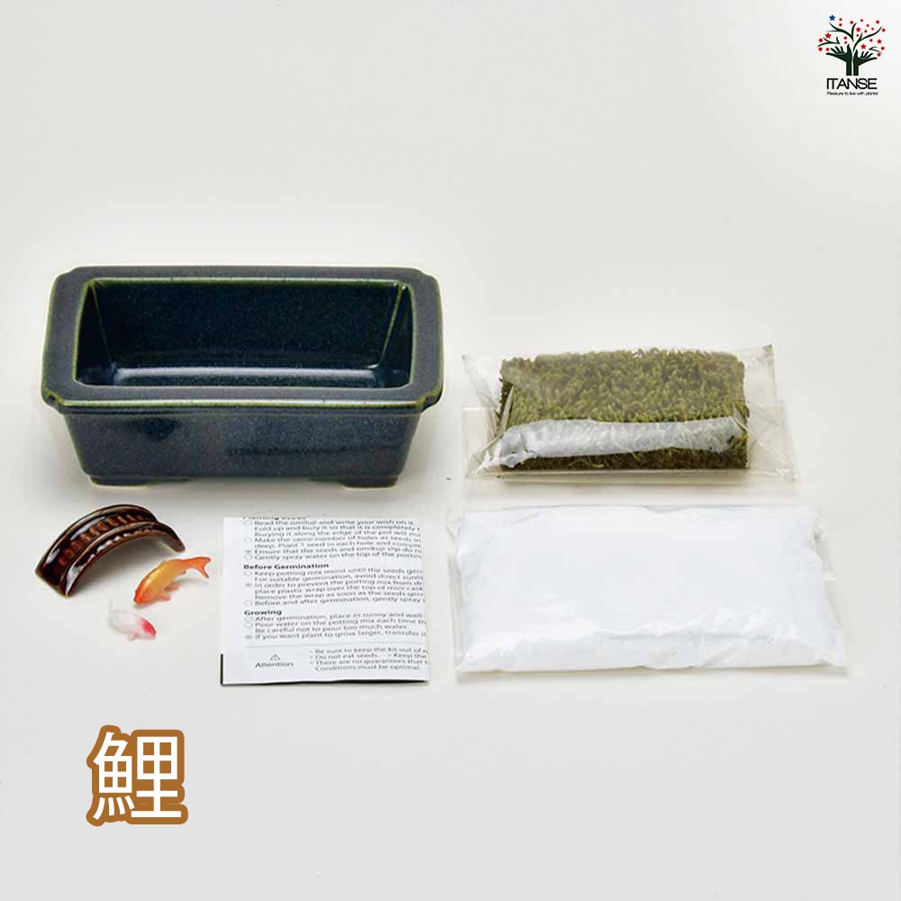 栽培セット 禅庭 ZEN GARDEN