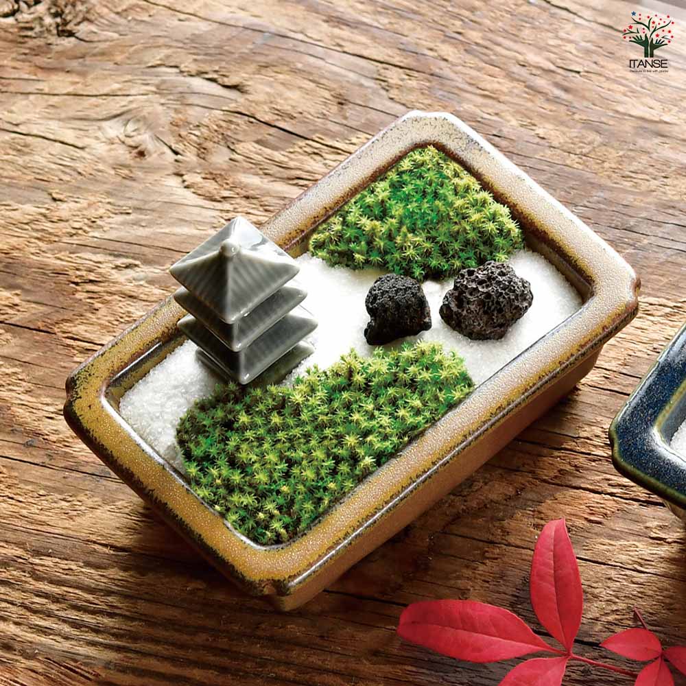 栽培セット 禅庭 ZEN GARDEN
