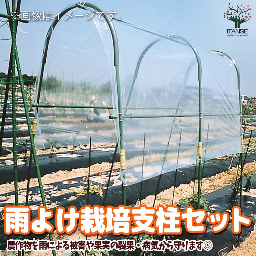 雨よけ栽培支柱セット【資材／1個売り】