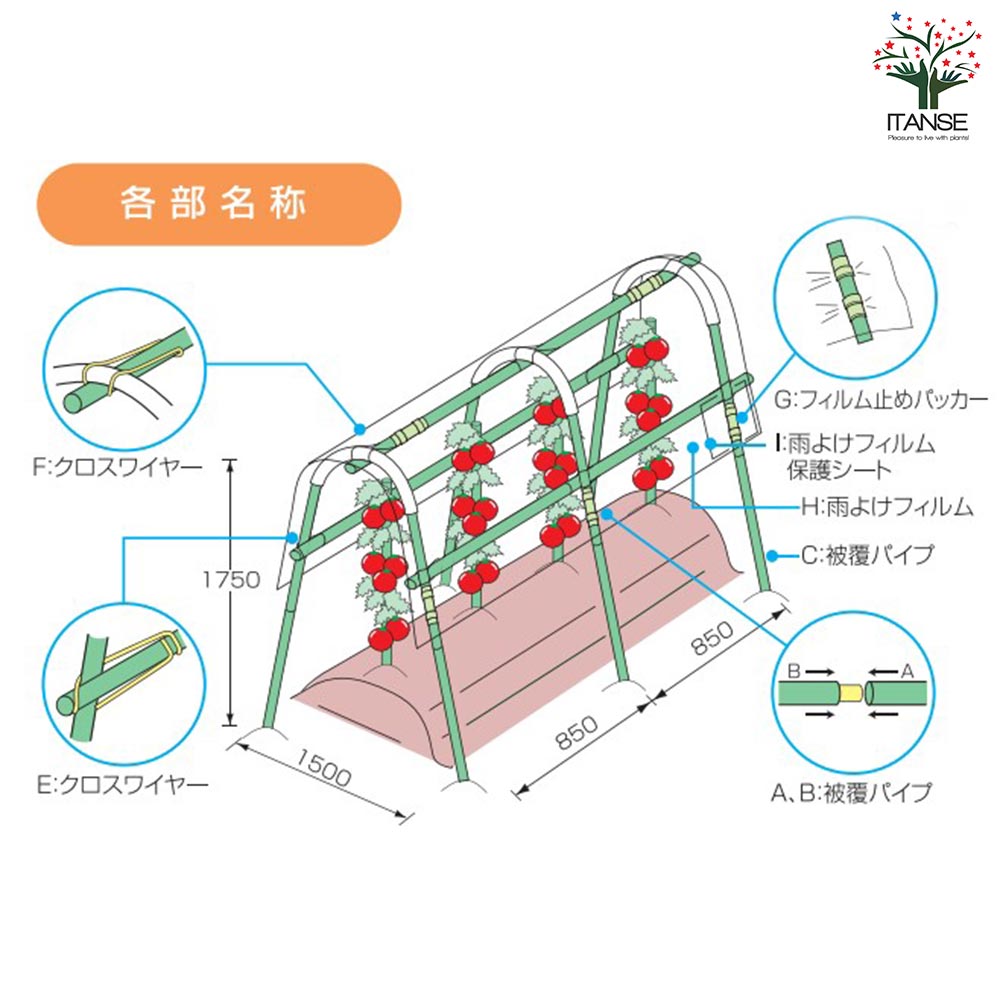 雨よけ栽培支柱セット【資材／1個売り】