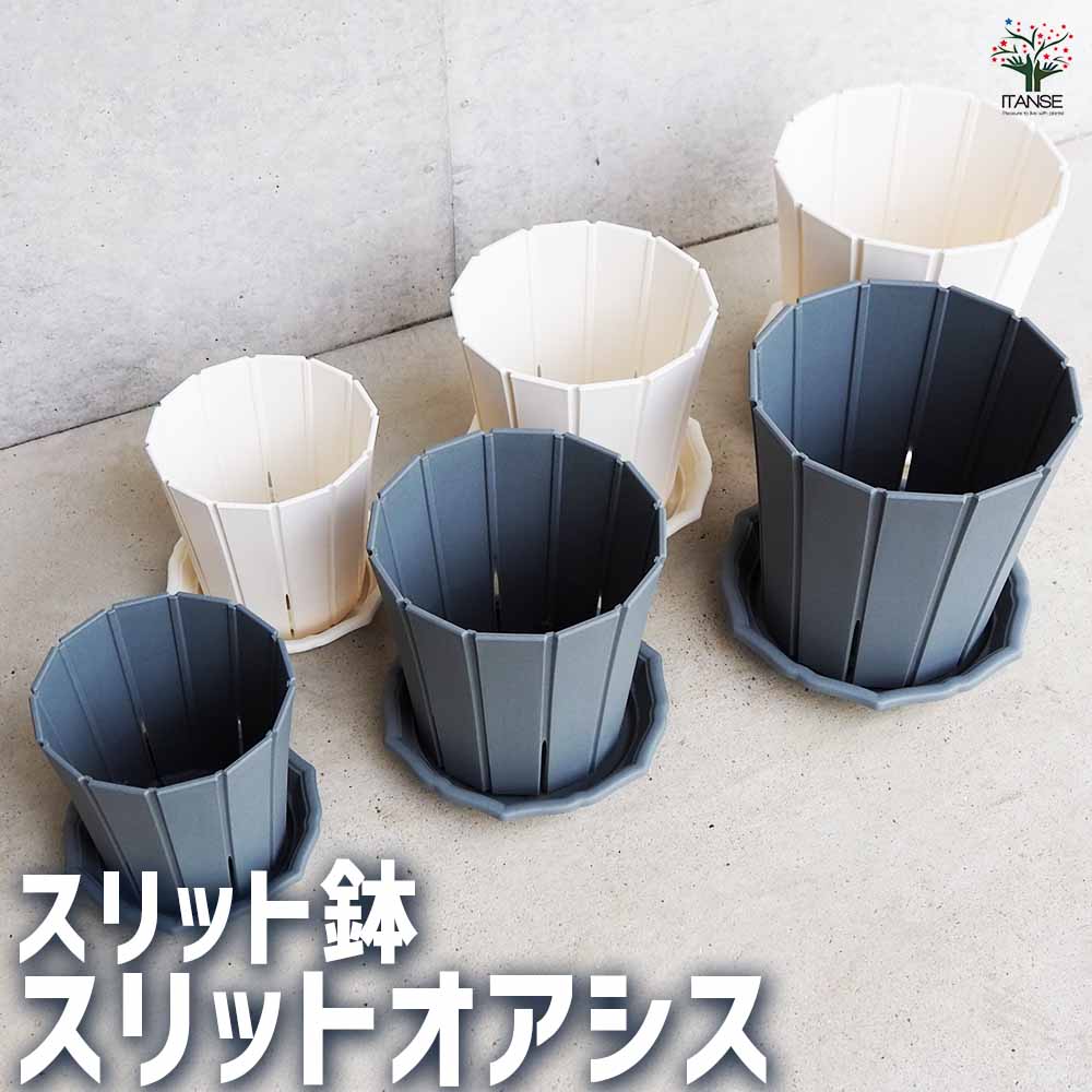 スリット鉢 スリット鉢 プラ鉢 325型｜ 植物のＩＴＡＮＳＥ全品送料無料