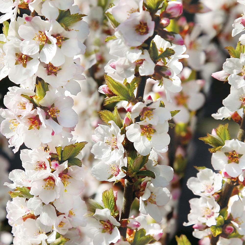 Itanse良品セレクト通販 Itanse良品セレクト通販