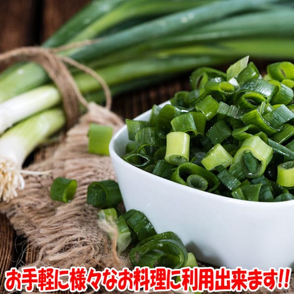 九条太ネギ苗約1000本 Amazon.co.jp: 「九条太ねぎポット苗(干しねぎ挿し苗)」【野菜苗