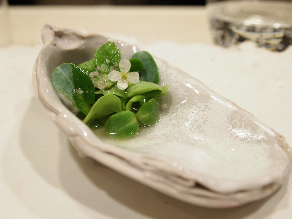 オイスターリーフ 3個セット(生牡蠣の味がする人気のオードブル野菜!)【9cmポット苗／3個セット】