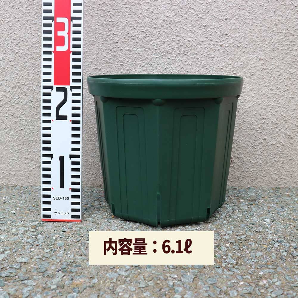 スリット鉢【8号鉢 資材】