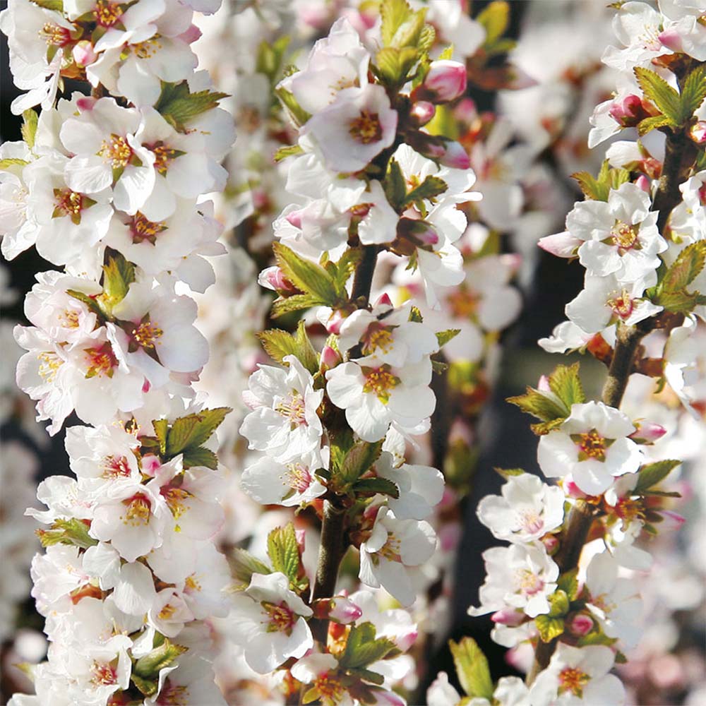 Itanse良品セレクト通販 Itanse良品セレクト通販