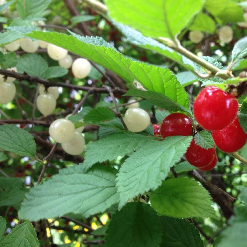 Itanse良品セレクト通販 Itanse良品セレクト通販