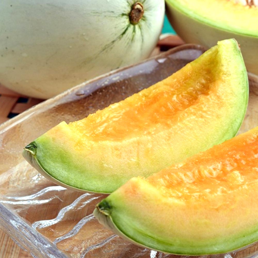 プリンスメロン(品種:都プリンス)接ぎ木苗2個～【野菜 接木苗9cmポット】