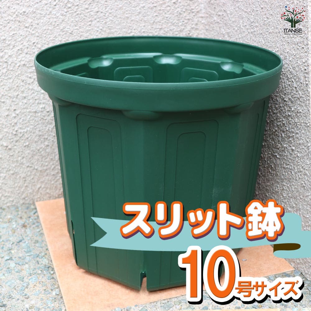 スリット鉢【10号鉢 資材】