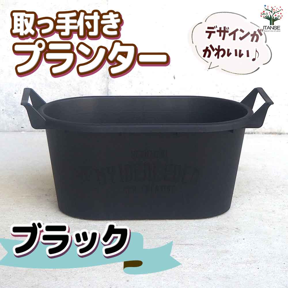 めろん様 リクエスト 3点 まとめ商品 めろんちゃんぱん様