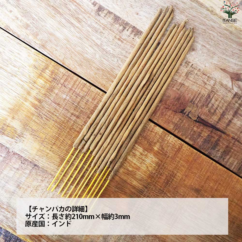 お香 チャンパカ 【香り系 便利・園芸グッズ】｜ 【植物のITANSE