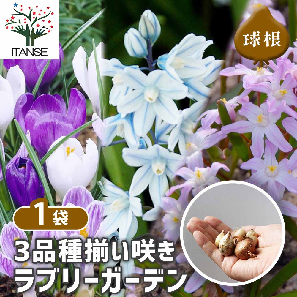 揃い咲きラブリーガーデン