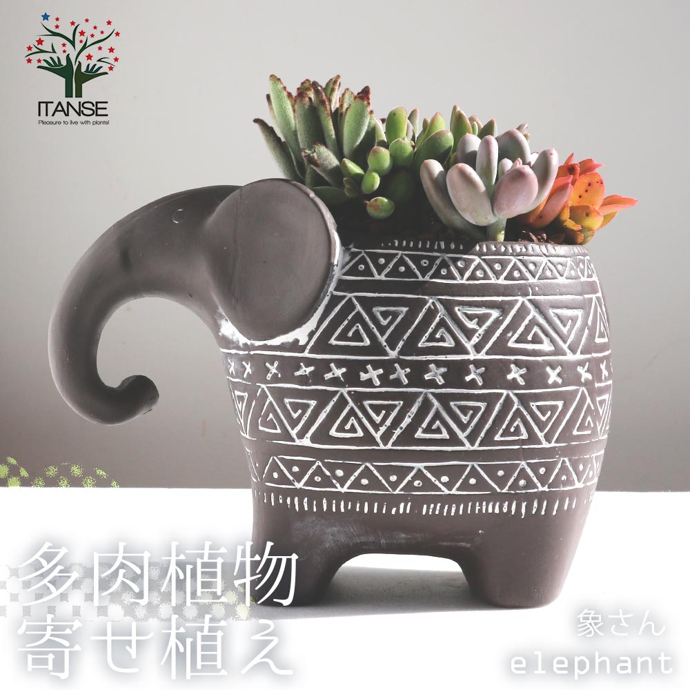 Itanse良品ｾﾚｸﾄ通販